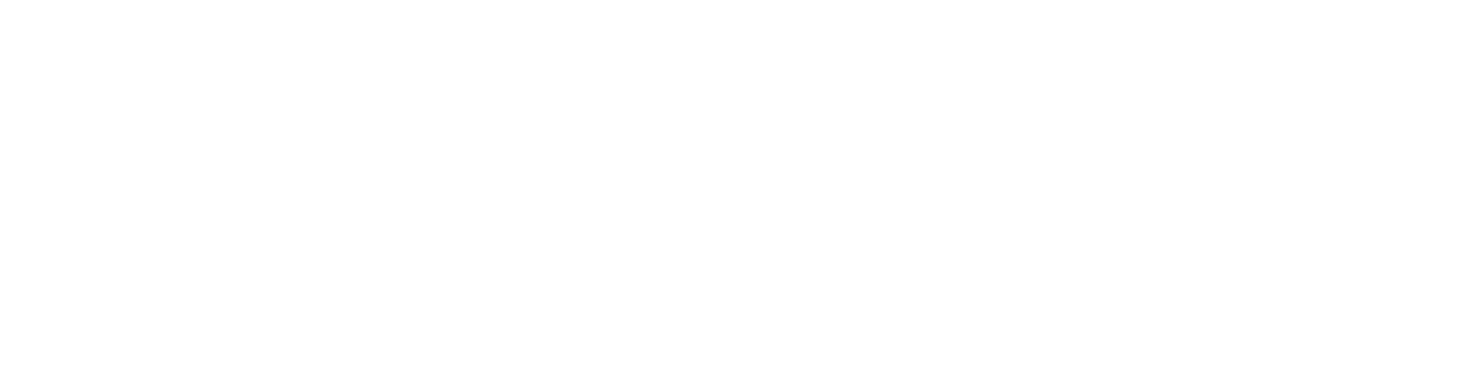 World Travel Holdings